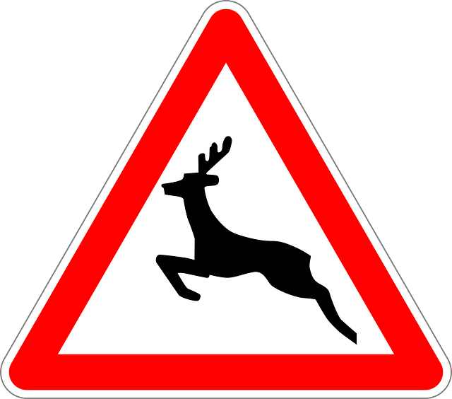 an image of traffic sign warning of deer crossing