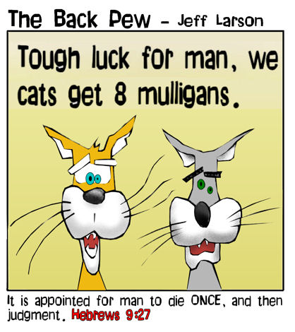 Nine Lives Cat Judgement Bible Cartoons