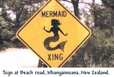 mermaidcrossing