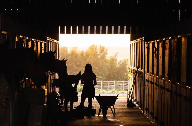 From inside a barn, animals, child and wheelbarrow silhouetted against the open door.