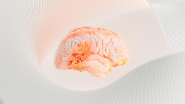 An image of a white and orange colored brain on a white background.