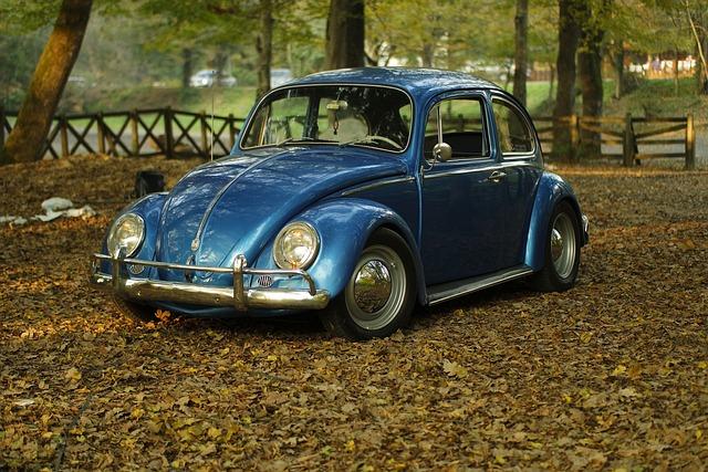 Old style blue Volkswagen bug parked on leaves in a park with trees and pathways.