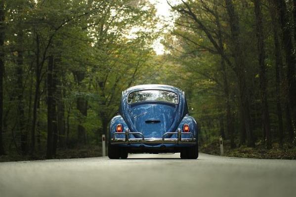 A blue vw bug driving away from us on a road through a forest.