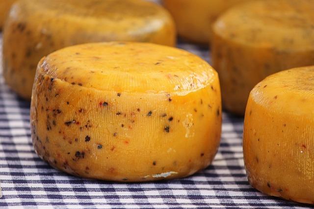 Several rounds of yellow cheese loaves on a blue and white gingham cloth.