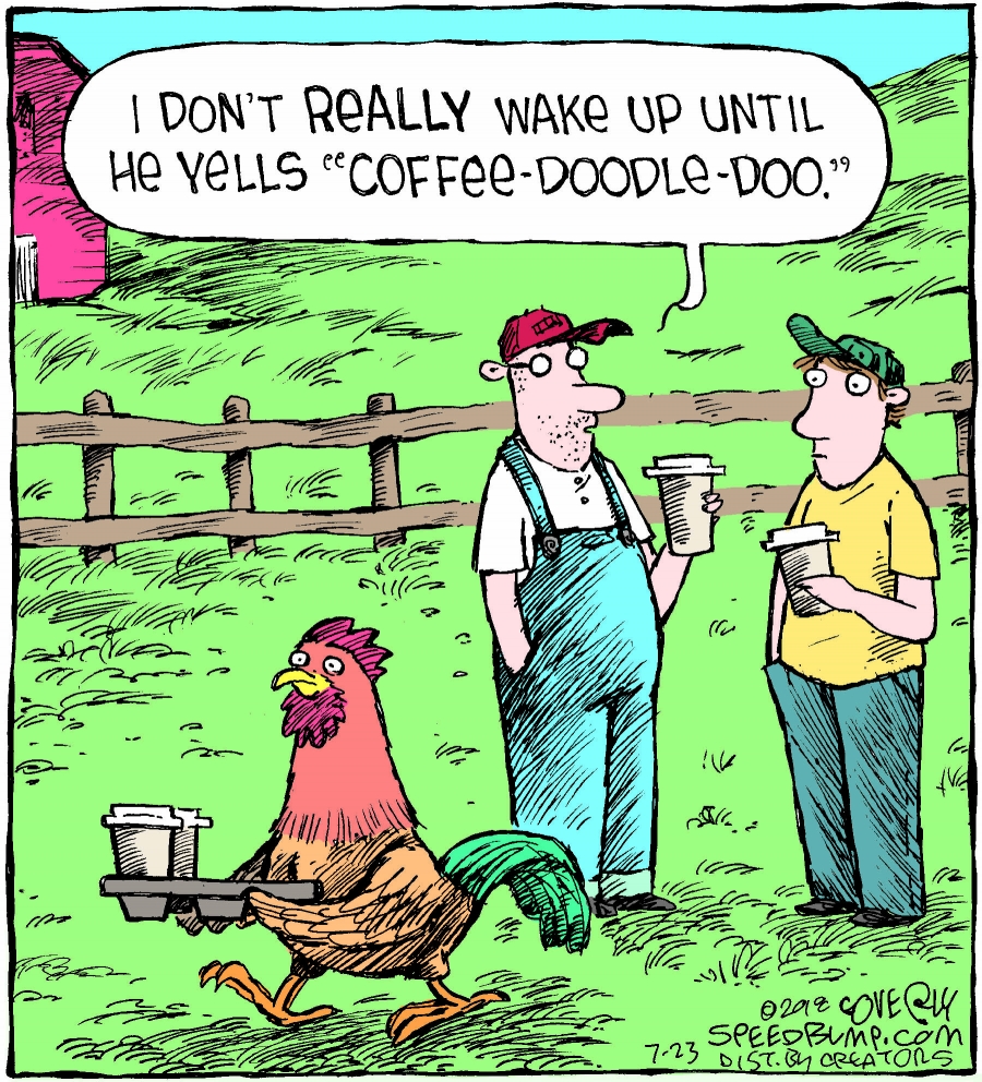 Chicken Thursday Speed Bump Coffee Doodle Doo Cartoon