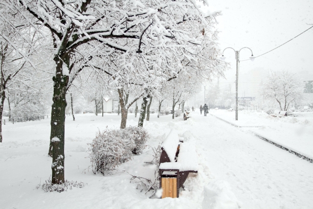 picture of a winter storm