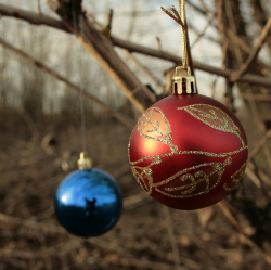 Rev. James Snyder reflects on the reason he celebrates Christmas.