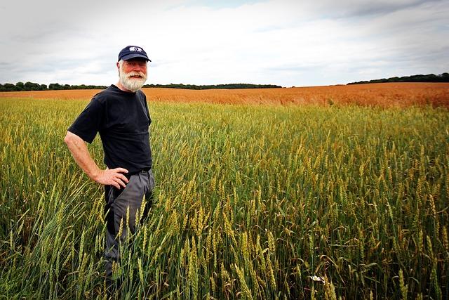 man in baseball cap standing in a field of green wheat