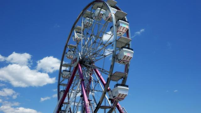 Mind Reading Lessons: A Hilarious Fair Encounter 🎡