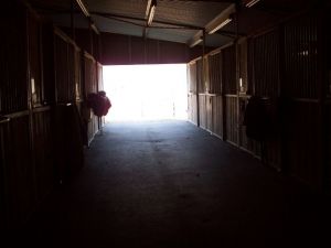 horse stable