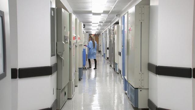 Looking down a long corridor in a hospital.