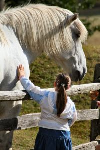 gentle giant