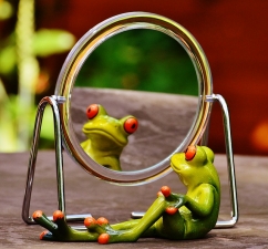 frog in mirror