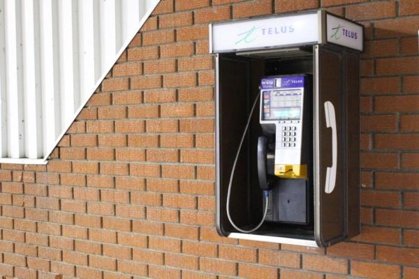 Telus pay phone on a brick wall.