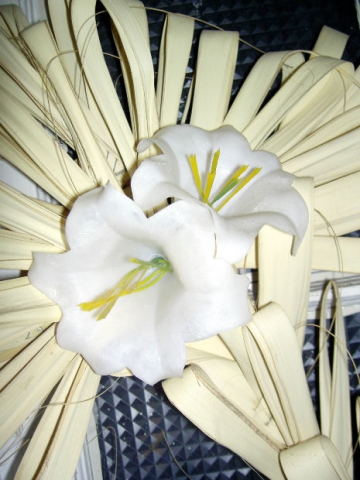 palm sunday flowers