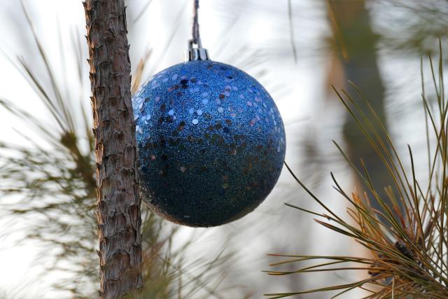 A blue Christmas ball hanging from a pine branch.