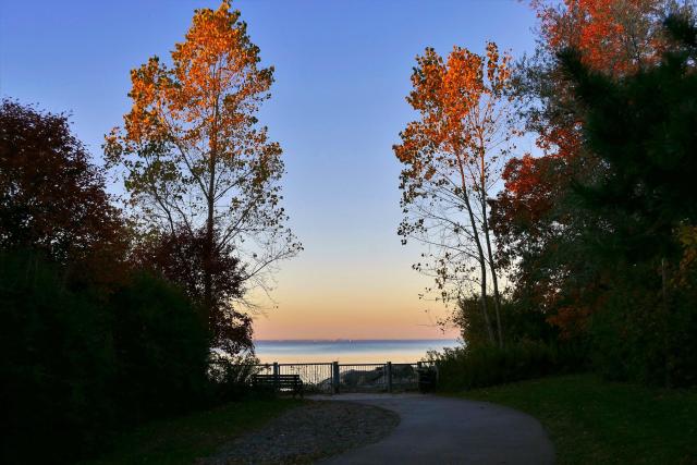Shaded paved pathway leading to a sunny lake, blue sky and autumn leaf trees.