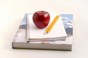 teacher apple