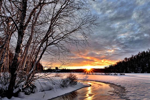 A winter scene of river, trees and a sun just cresting the horizon.