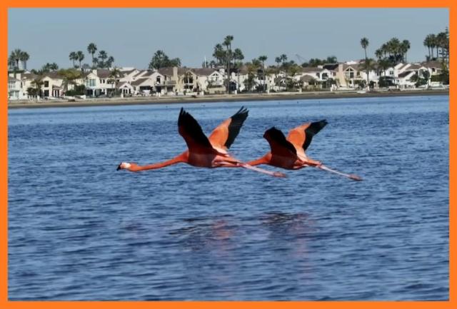 photographer cleared of photo manipulation allegations