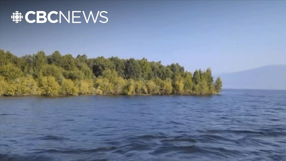 An island mysteriously appeared then disappeared on B.C.'s largest reservoir