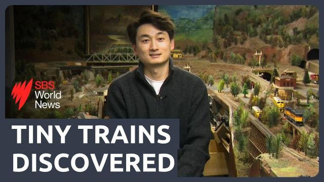 tiny trains discovered