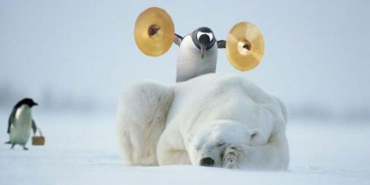 Funny Pictures of Peguin Waking Polar Bear With Symbals