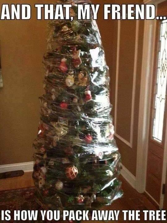 christmas tree pack