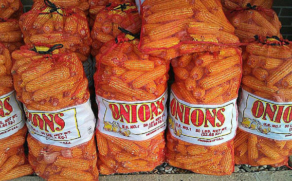 Corn on the Cob in Onion Sacks