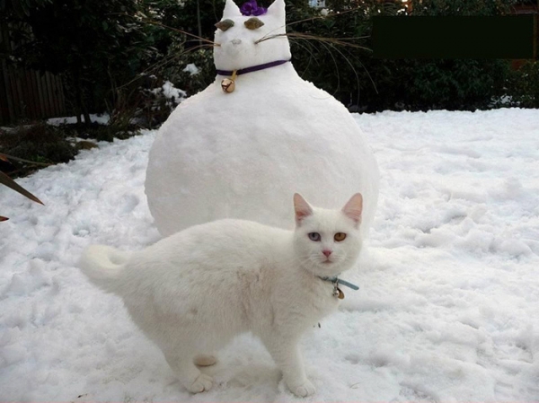 cat snowman