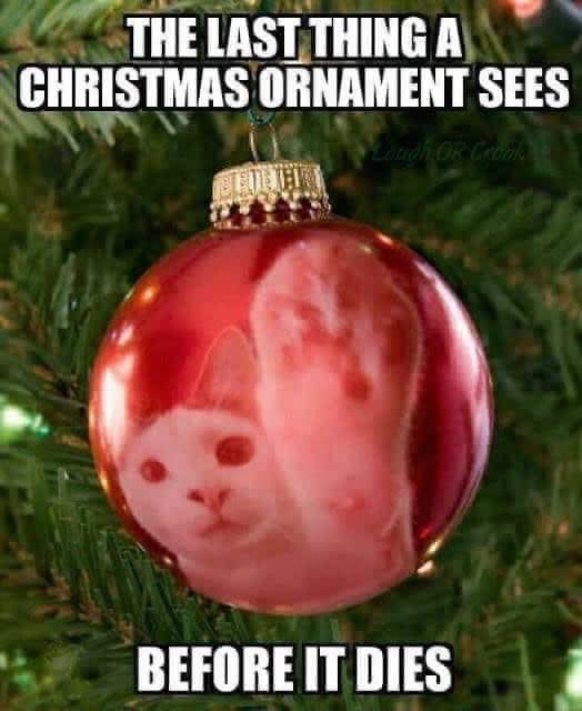 cat christmas ornament