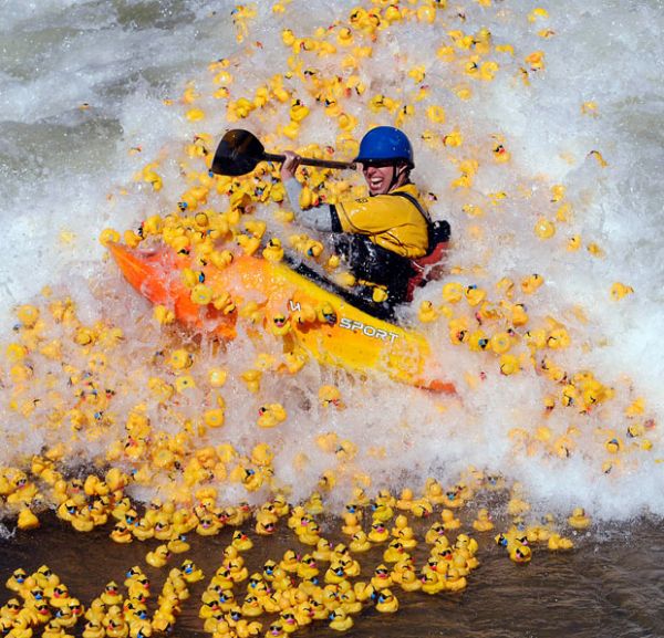 rubber duck race go bigger