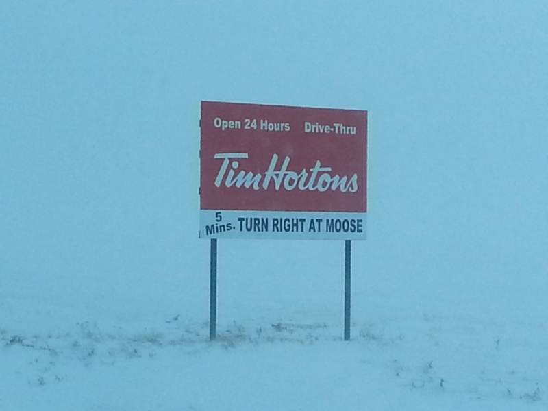 sign tim hortons moose coffee