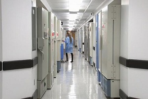 Looking down a long corridor in a hospital.