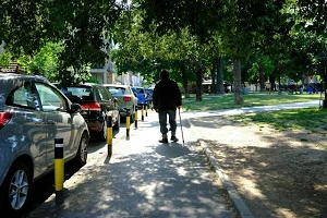 walking with cane