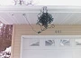 funny Christmas light picture