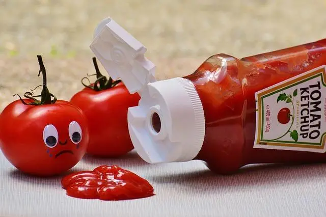 ketchup tomato