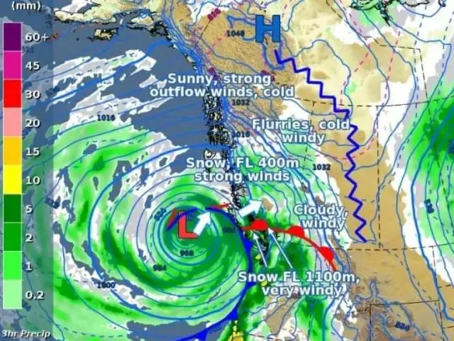 Cybersalt News - November 21, 2024