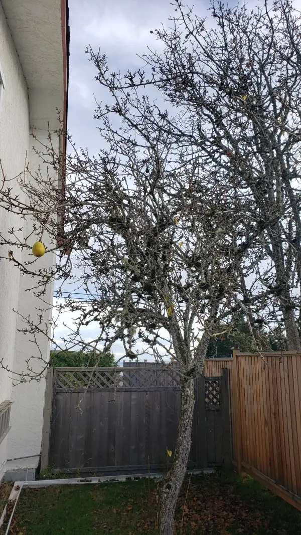 Cargo ship that continues to burn near Victoria