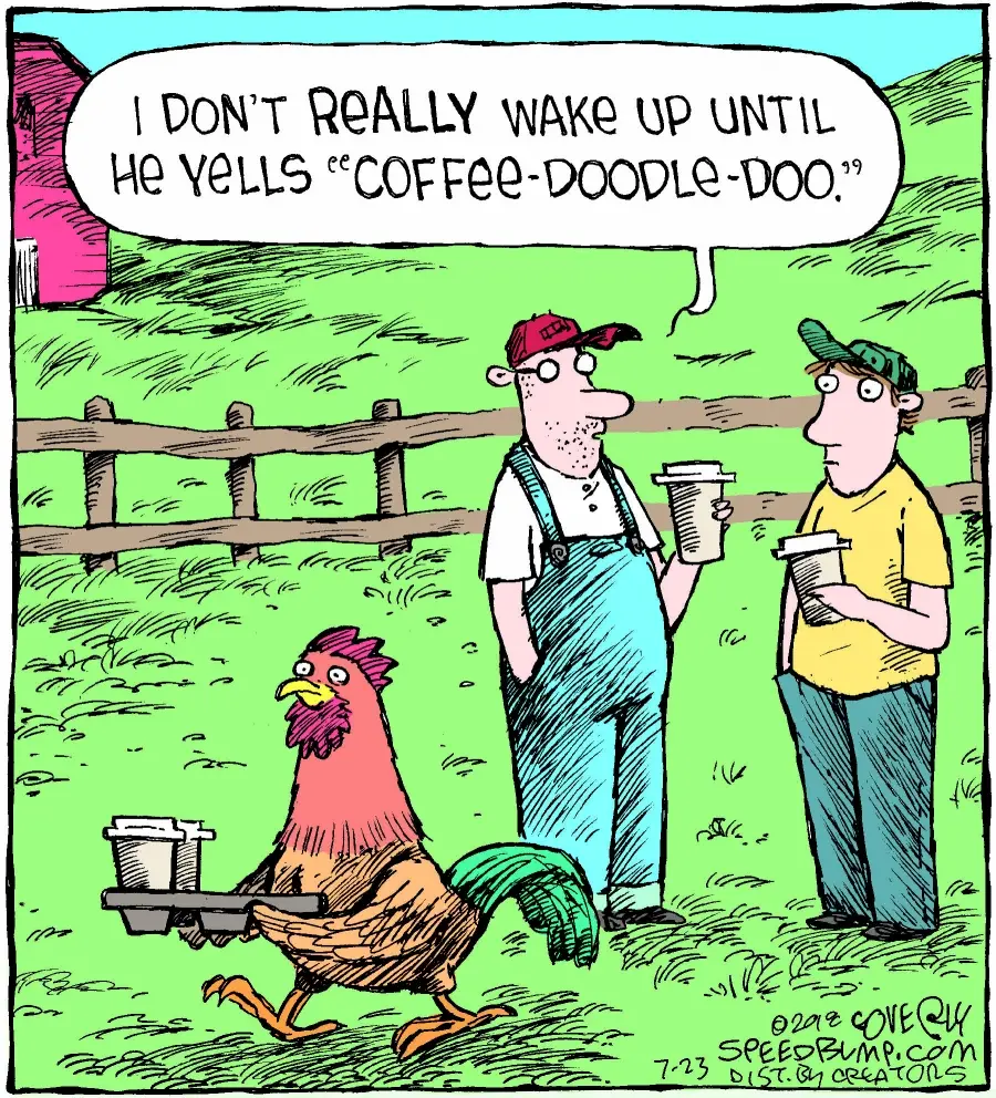 Chicken Thursday Speed Bump Coffee Doodle Doo Cartoon