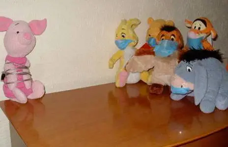 Swine Flu Panic on the Increase