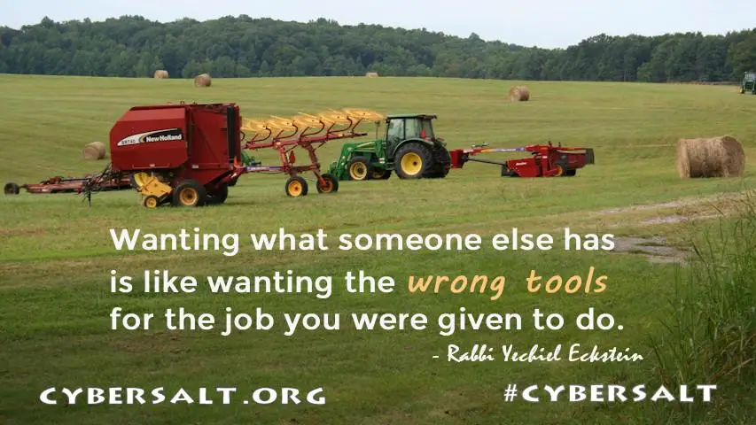 Rabbi Eckstein quote