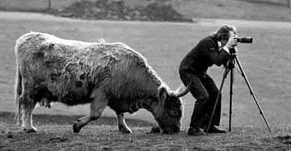 wildlifephotographer