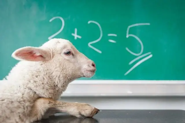 A sheep in front of a blackboard with an incorrect math equation.