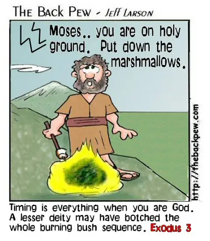 0_burningbushblooper