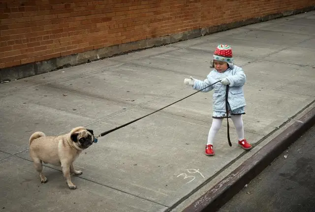 kids and_dogs