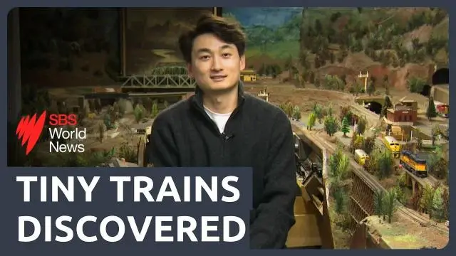 tiny trains discovered