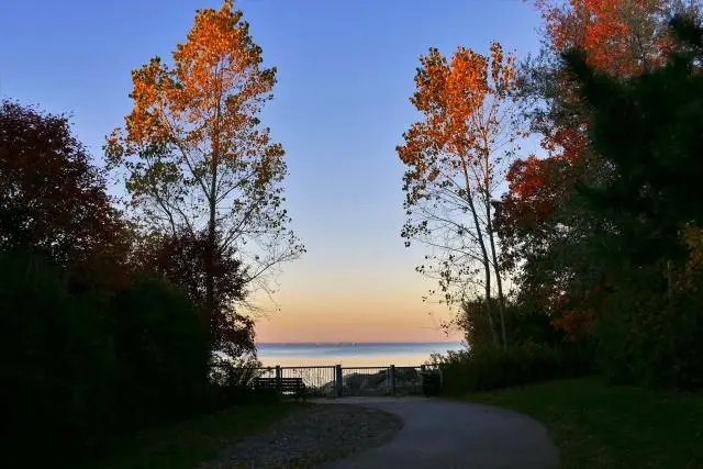 Shaded paved pathway leading to a sunny lake, blue sky and autumn leaf trees.
