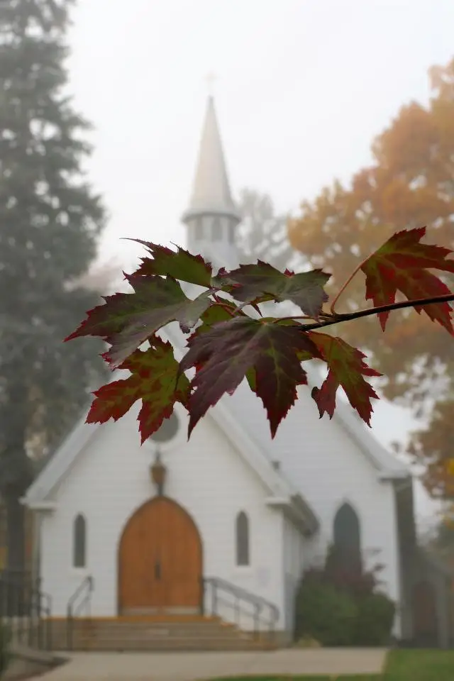 A blurry white country church behind a sprig of colored maple leaves that is perfectly in focus.