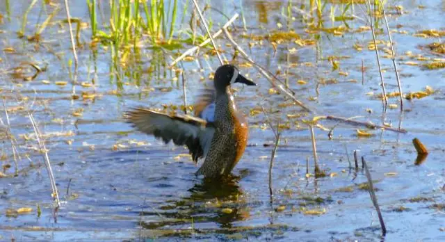 A Label Worth Wearing